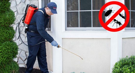 Çınarcık Hamam Böceği İlaçlama böcek ilaçlama ve haşere kontrolü — ilaclama-tr.com